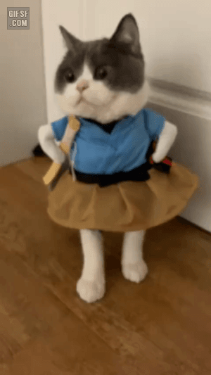 b0c919dd2bb76b728d87f54b89027030.gif