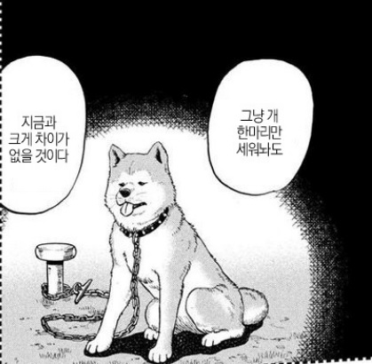 그냥개한마리만세워놔도지금과크게차이가없을거시다.jpg