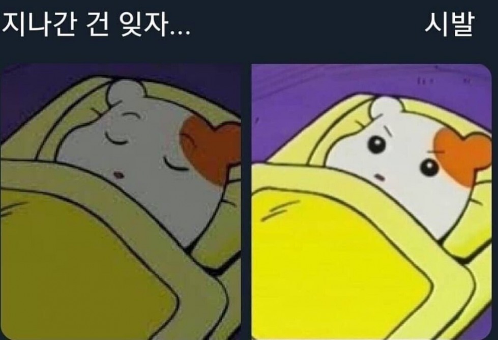 d585d34063e6442379467875cf7a6161.jpg