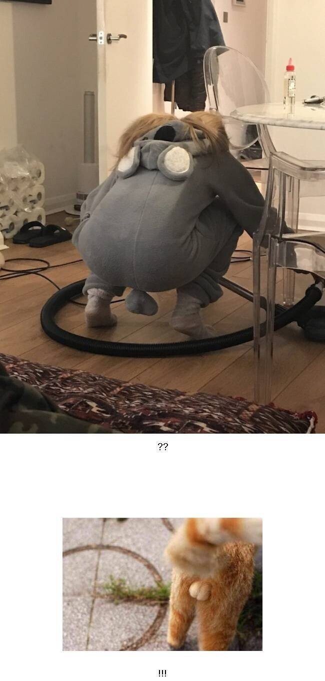 동물 잠옷.jpg