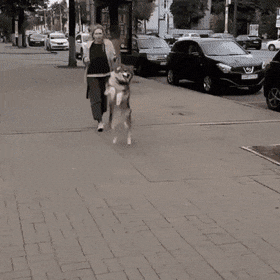 평범하게 산책하고 싶다.gif
