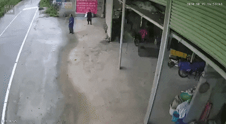 KakaoTalk_20211011_071636206_03.gif