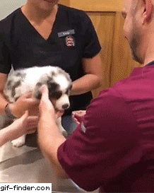 20181105113902_hlgiplhlq.gif