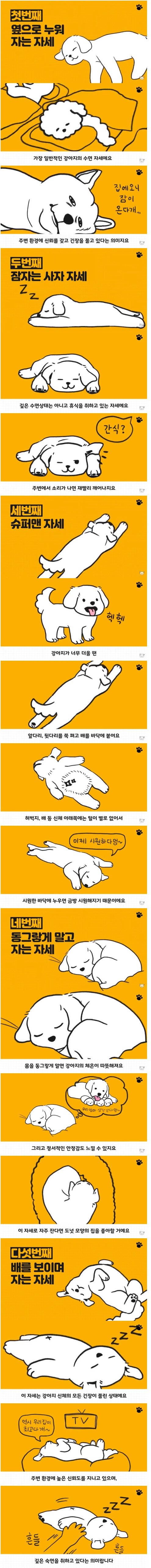 멍멍이 자는 자세.jpg