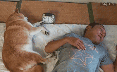 1648573a6174cc765.gif
