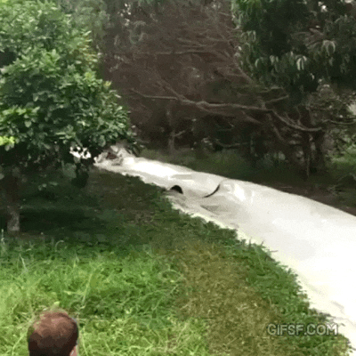 워터 슬라이드 대참사.gif