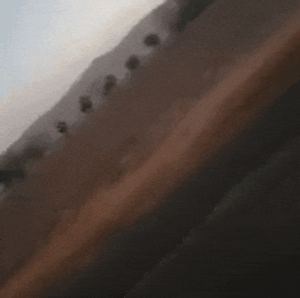20210829_211247.gif