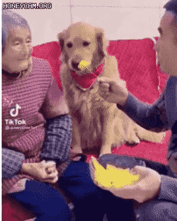 bInUAaTm_file61c5f2f102983_62c5cec5cd98c52c745c73143d4a4a2dd738b963.gif