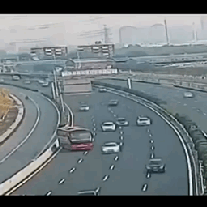 크기변환_1541379555_9235_166ddbadf13337a57.gif