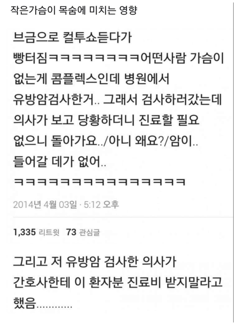 작은 가슴이 목숨에 미치는 영향.jpg