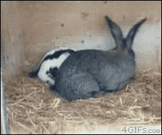 1520369388094.gif