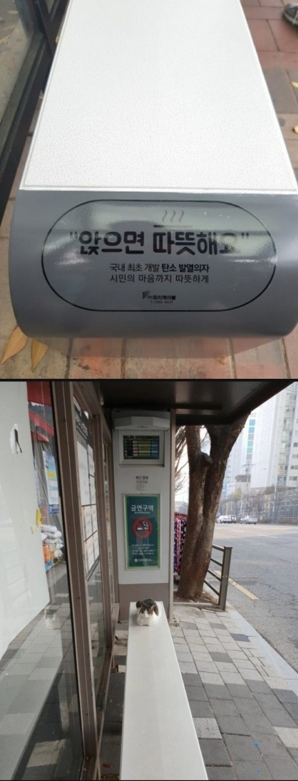 앉으면 따뜻해요.jpg
