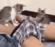 KakaoTalk_20180707_101341761.gif