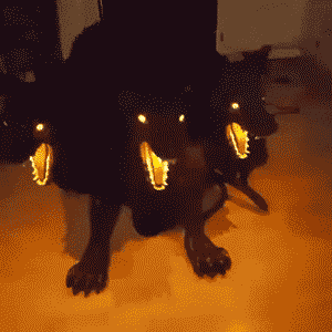 가습기.gif