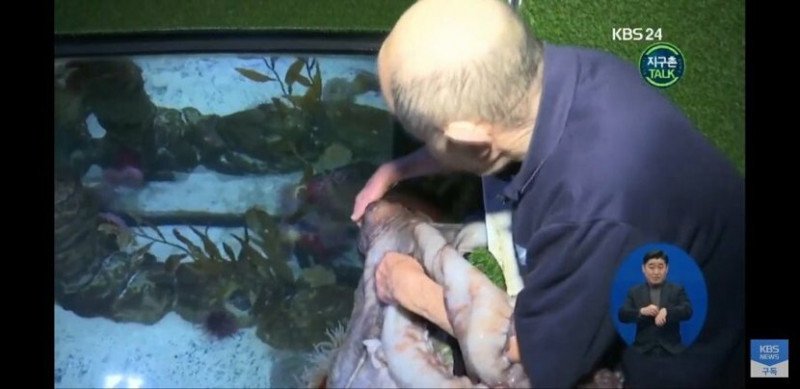 1551152562e1618a49bbc241efbb9d3605c81005f0__mn704870__w800__h389__f46365__Ym201902.jpg