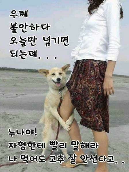 12_12_56_43.jpg