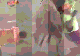 부랄치기!!!!.gif