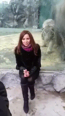 Cyau5BN.gif