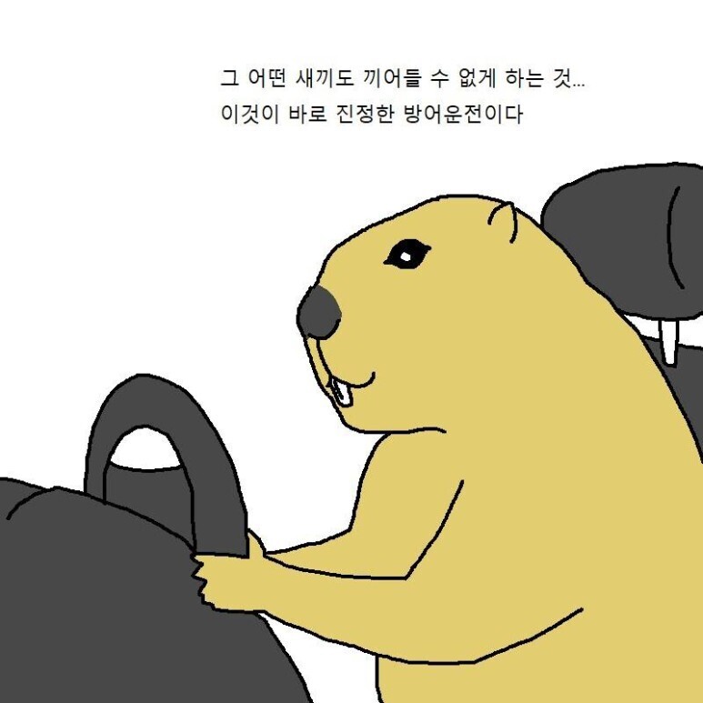 진정한_방어운전.jpg