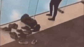 20200213_163706.gif