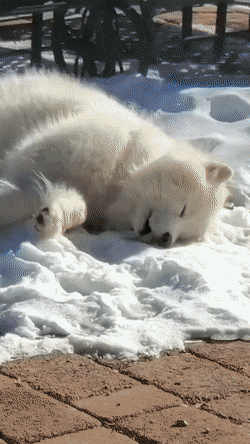 눈이 너무 좋은.gif