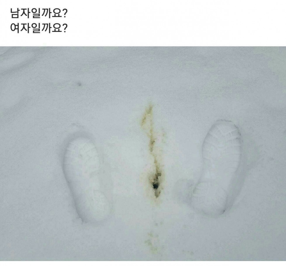 누가 남긴 것인지.jpg