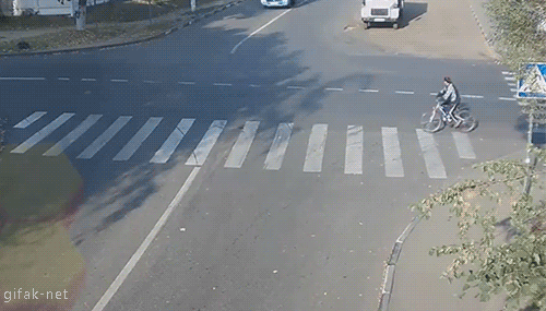 8.gif
