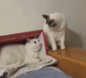 무방비 폭행사건.gif
