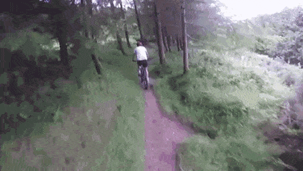 168e70a376c4ceacb.gif