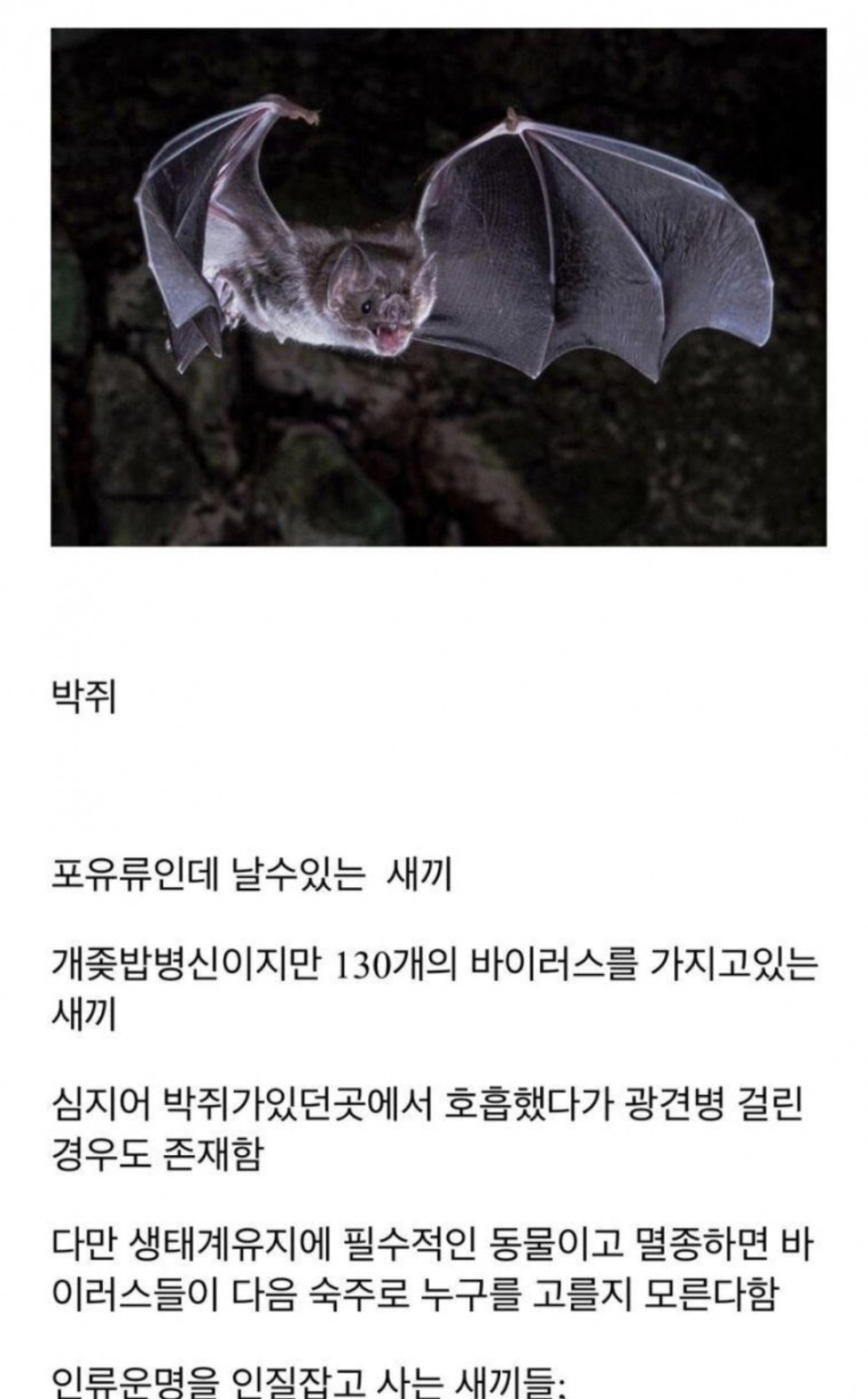 1DABD841-6BCD-4C5D-A424-E01C005740BB.jpeg
