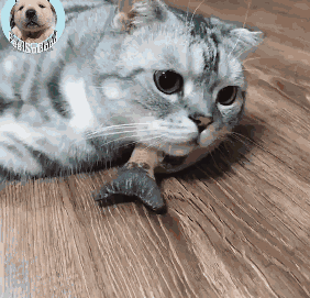 018_07_21_10_08_32.gif