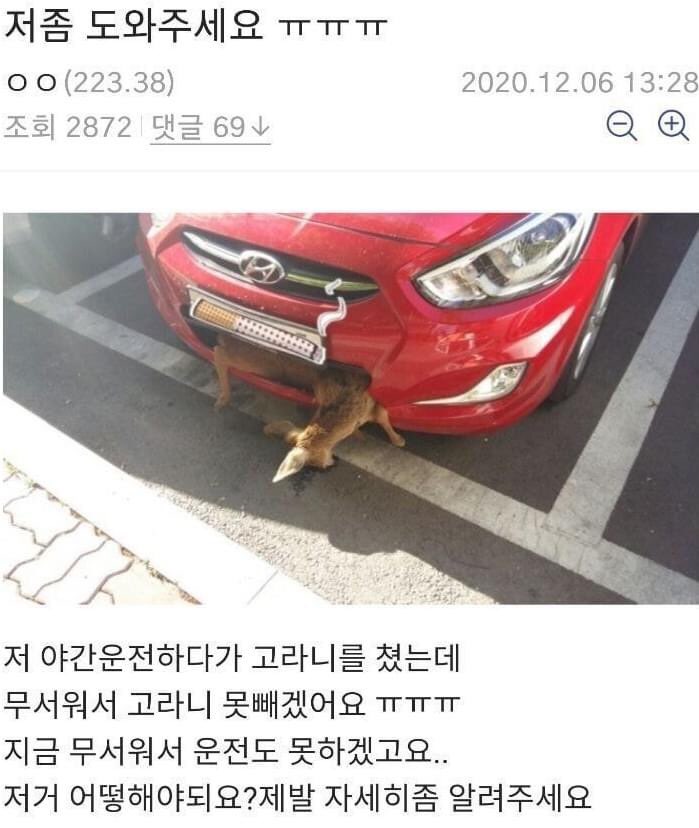 KakaoTalk_20201208_193648507.jpg