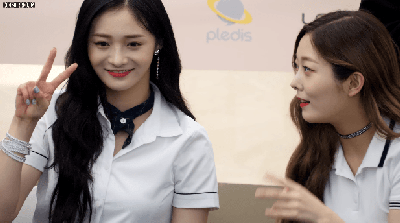 a1.gif