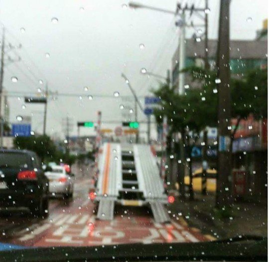 마성의 뒤태.jpg