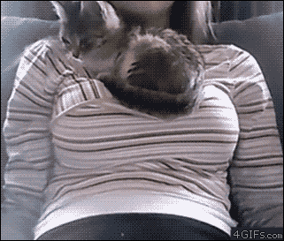 _05_26_13_10_00.gif