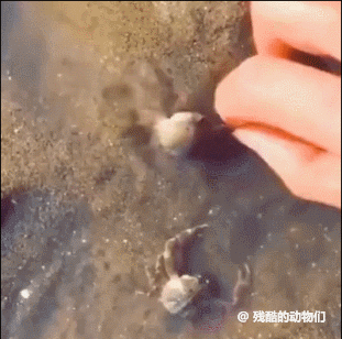 1599062166898.gif