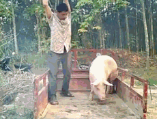 1613535582426.gif