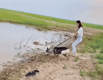 끌려가는 누나.gif