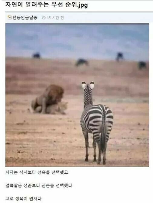 번식과 관음.jpg