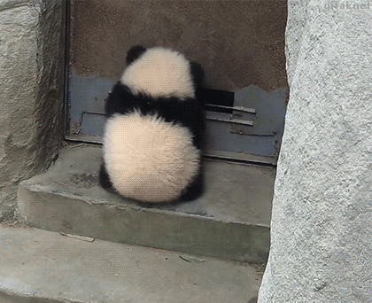 i015292865654.gif