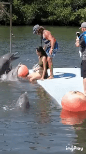 고뤠ㅋㅋ.gif