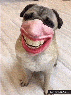 4b3febdfe0e6cdcead62b297558019cb.gif