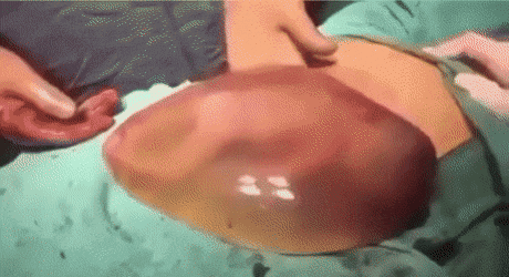 f2abefff62f9e64811e83634d6d89a82_1653919068_7912.gif