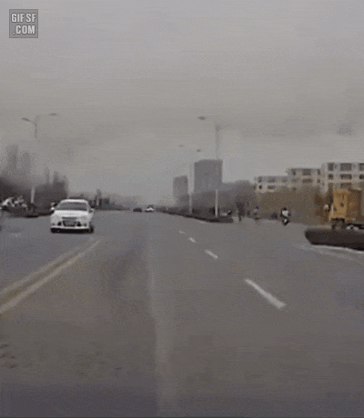 뇌가 없는년.gif
