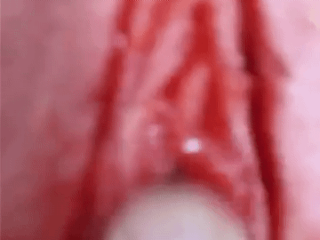 낚였다.gif