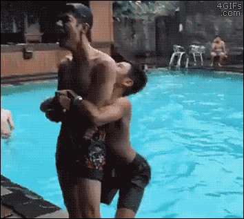 fe514e318598a50235ff714355fa8658.gif