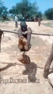i15937689235.gif