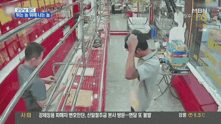 BgQM1605679854_545439255.gif