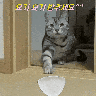 1599062920311.gif
