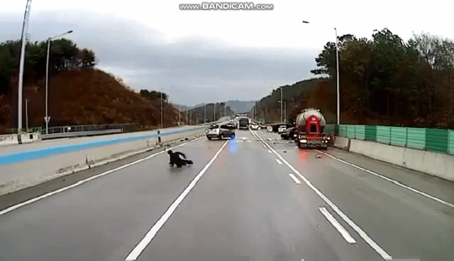 Hws5e51e75578e61.gif